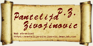 Pantelija Živojinović vizit kartica